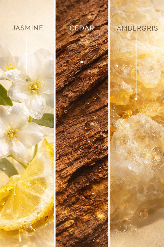 Guess Who's Bacc Air Freshener